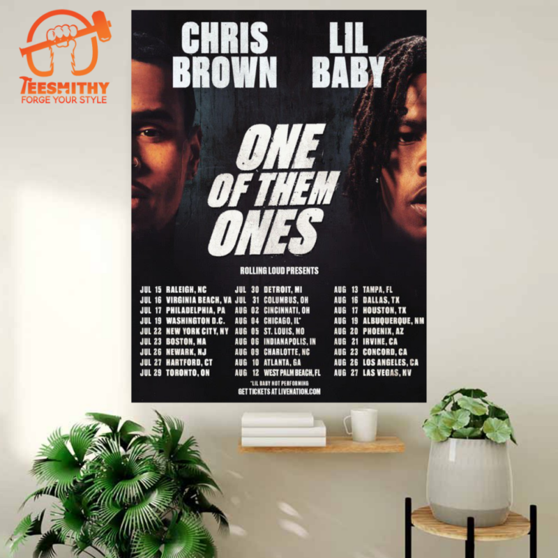 Chris Brown & Lil Baby One Of Them Ones Tour 2024 Poster Canvas
